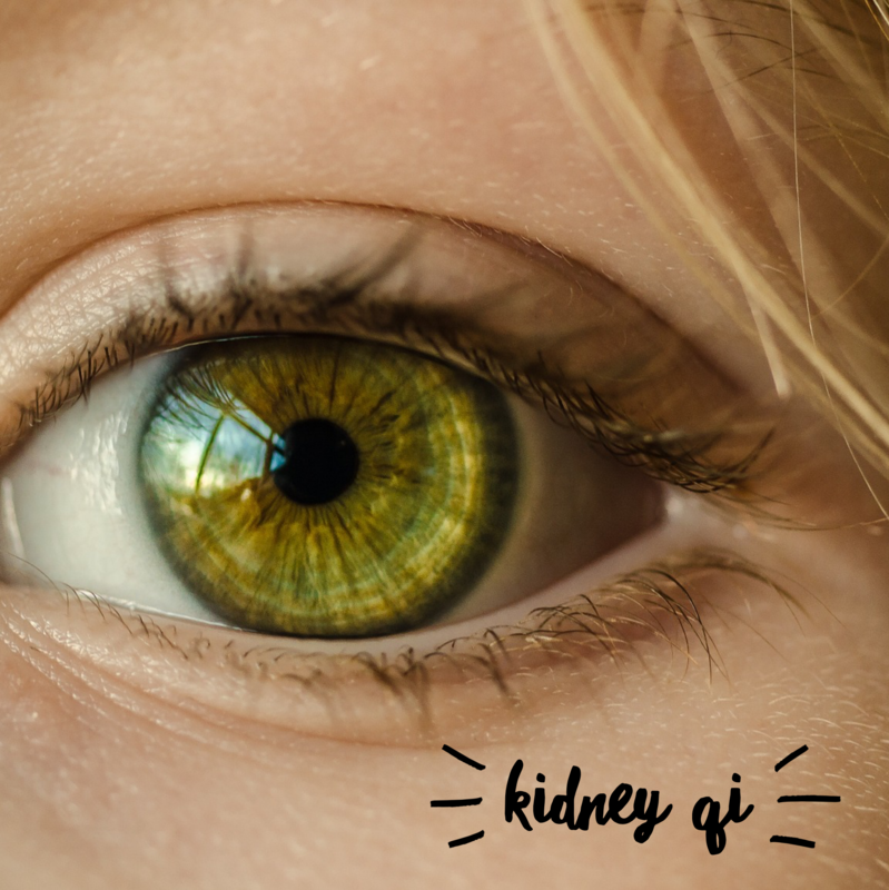Chinese facial diagnosis for Kidney Qi/vitality Chinese facial diagnosis for Kidney Qi/vitality